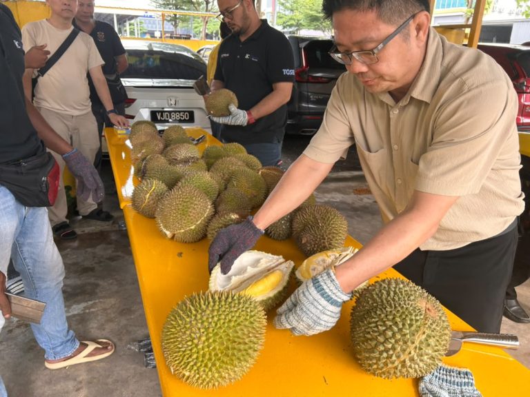 Sesi Durian Festa Vol. 2 bersama warga LaundryBarian petang tadi! 🤤🎉